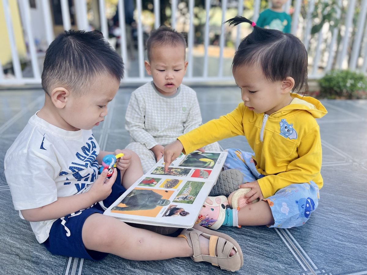 Ảnh hoạt động