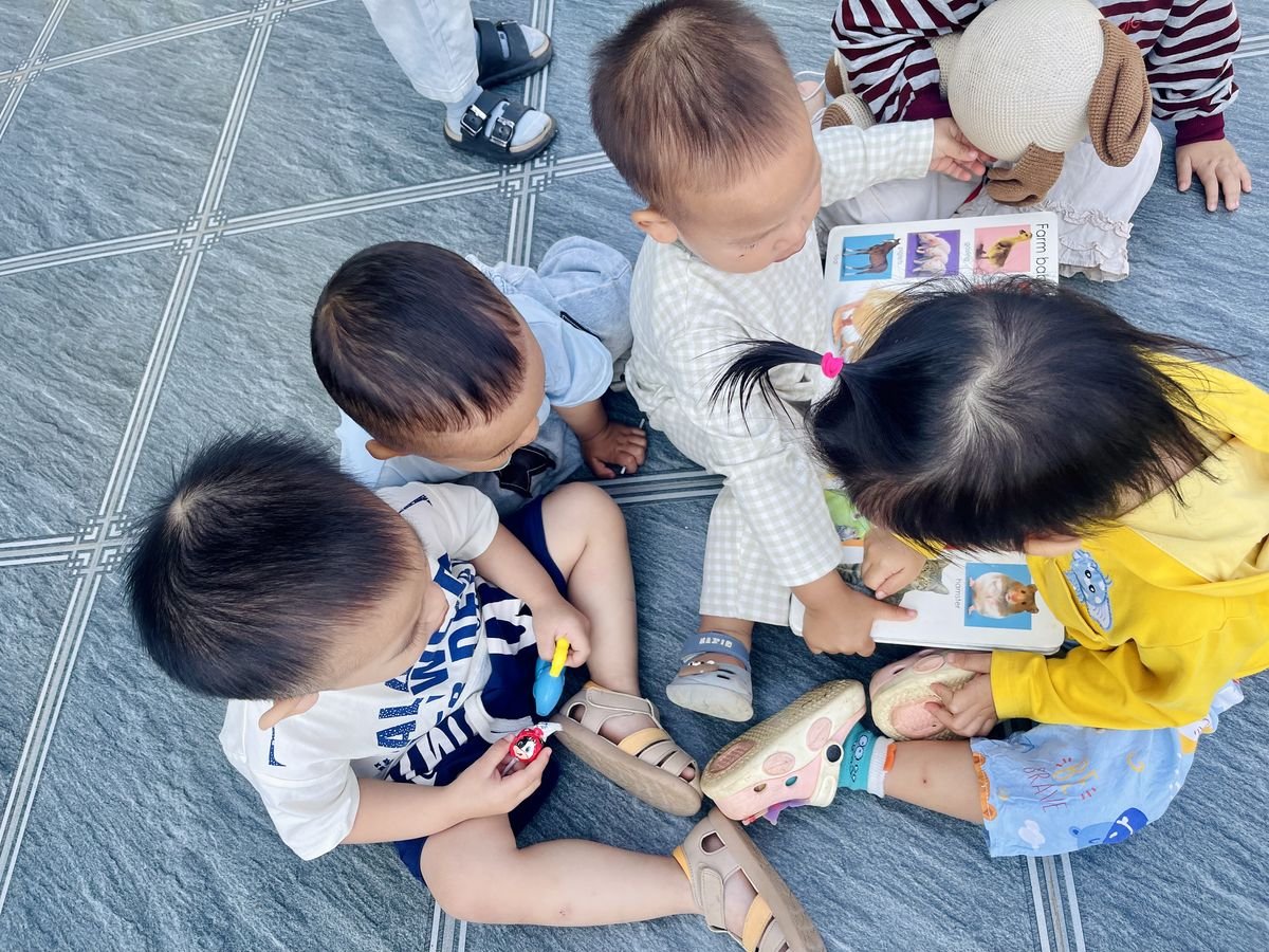 Ảnh hoạt động