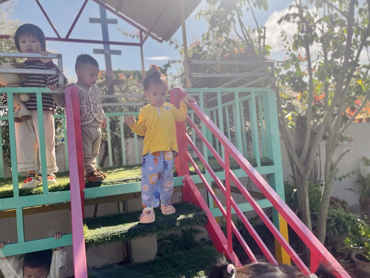 Ảnh hoạt động