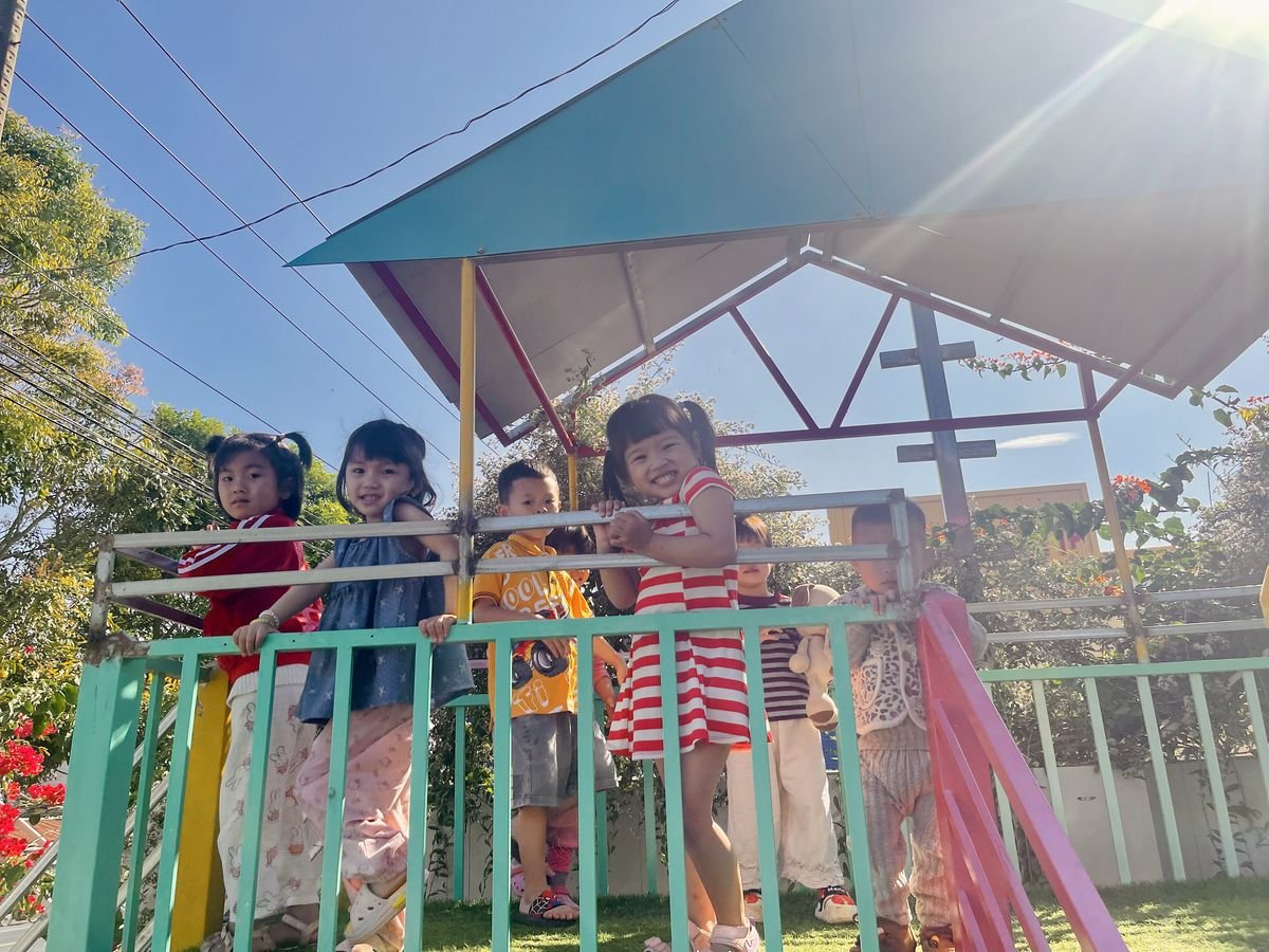 Ảnh hoạt động