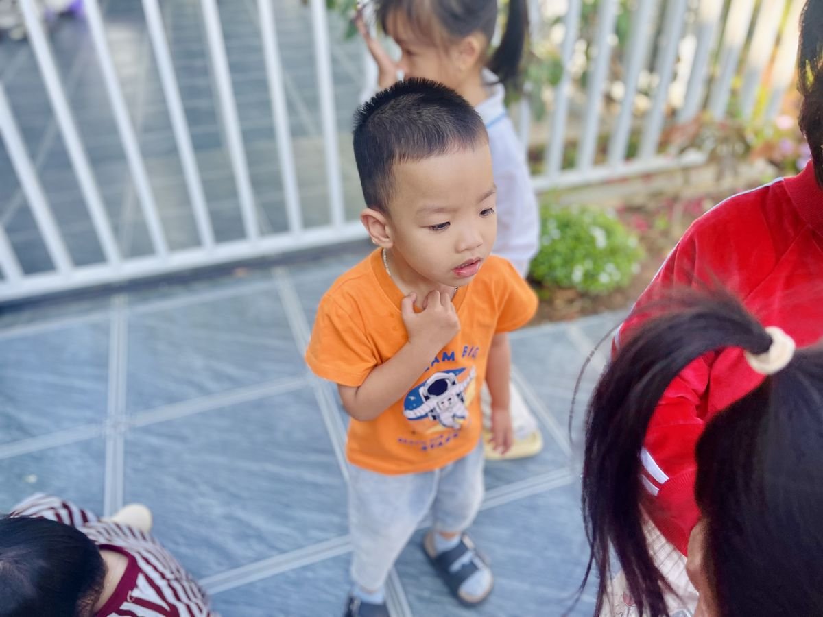 Ảnh hoạt động