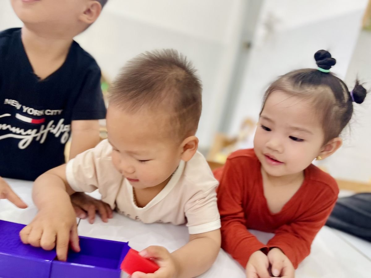 Ảnh hoạt động