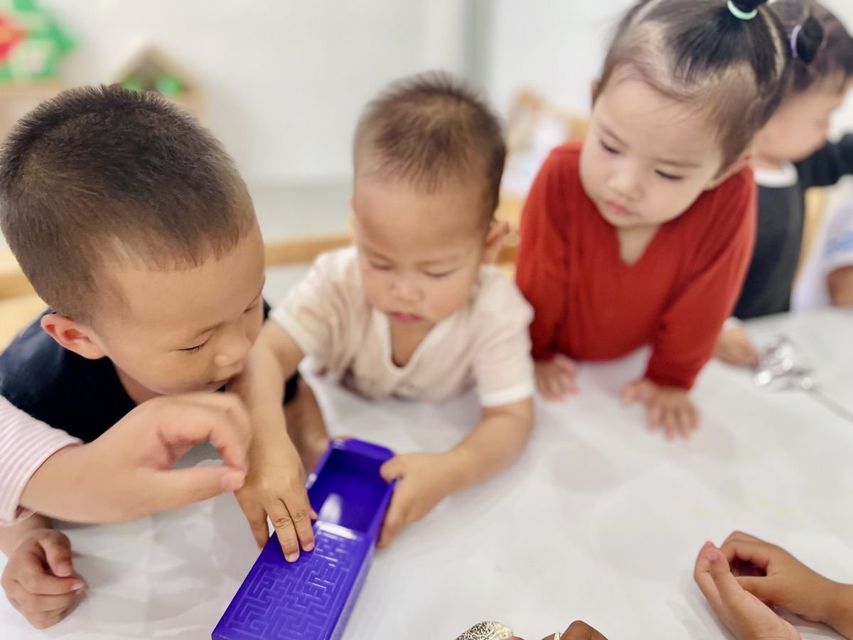 Ảnh hoạt động