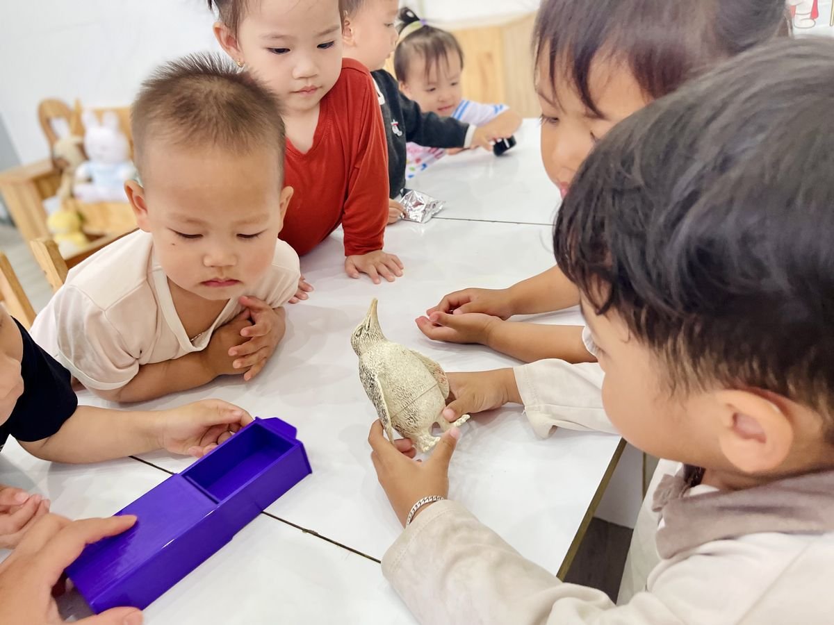 Ảnh hoạt động