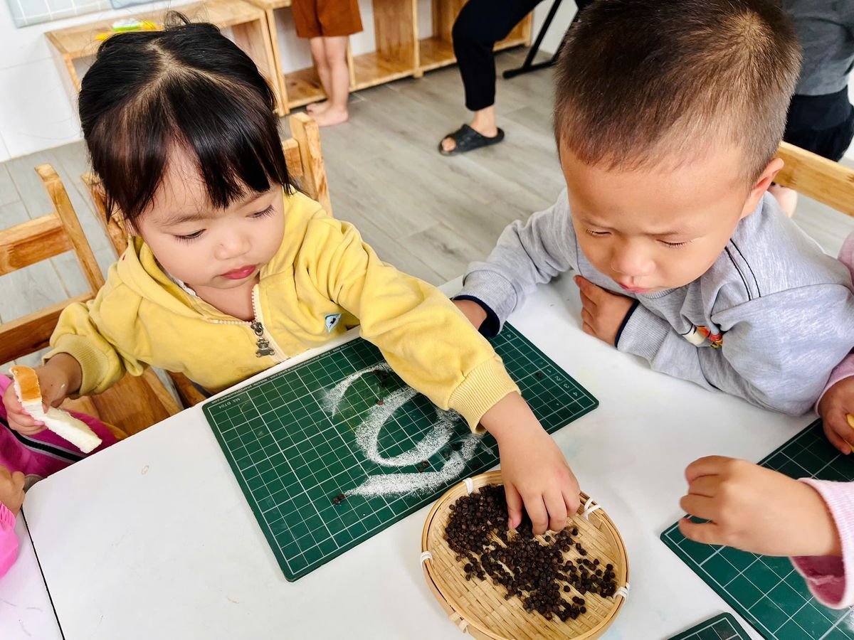 Ảnh hoạt động