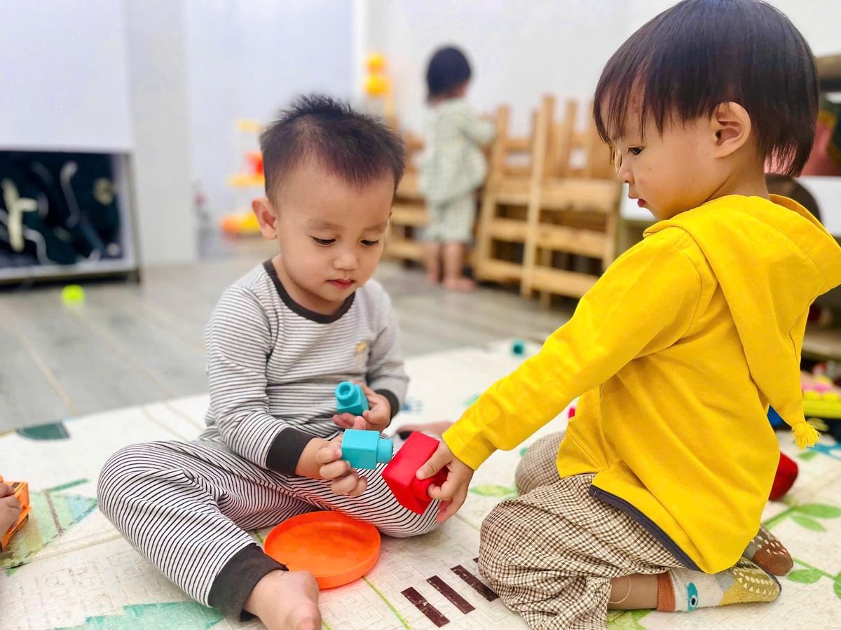 Ảnh hoạt động