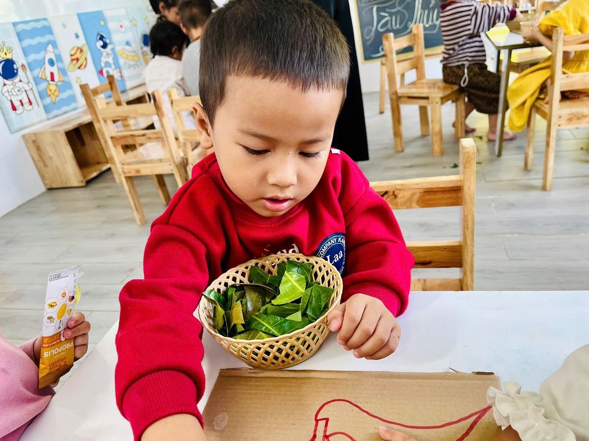 Ảnh hoạt động