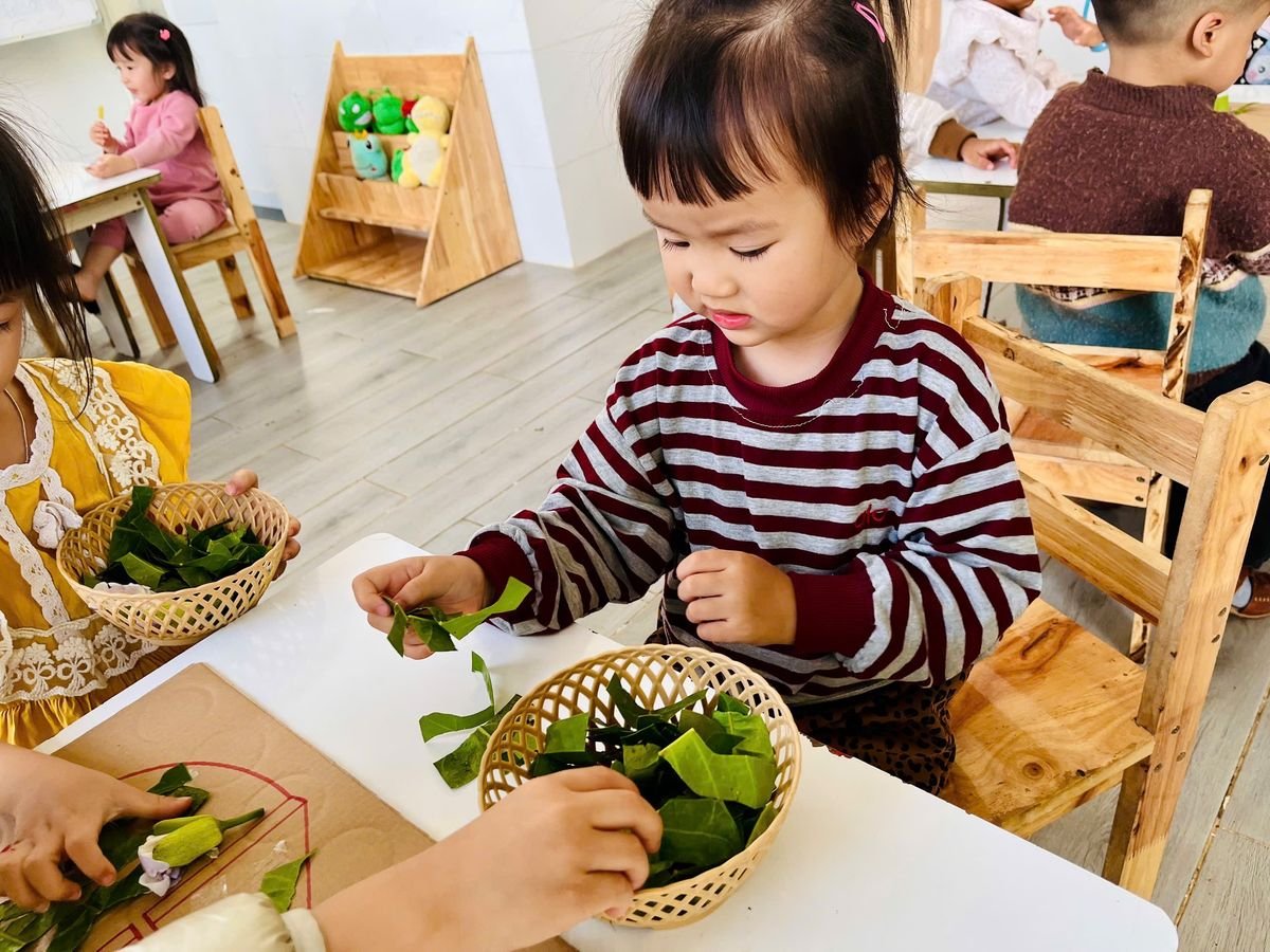 Ảnh hoạt động