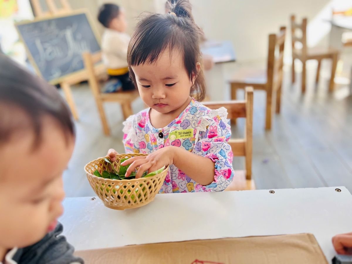 Ảnh hoạt động