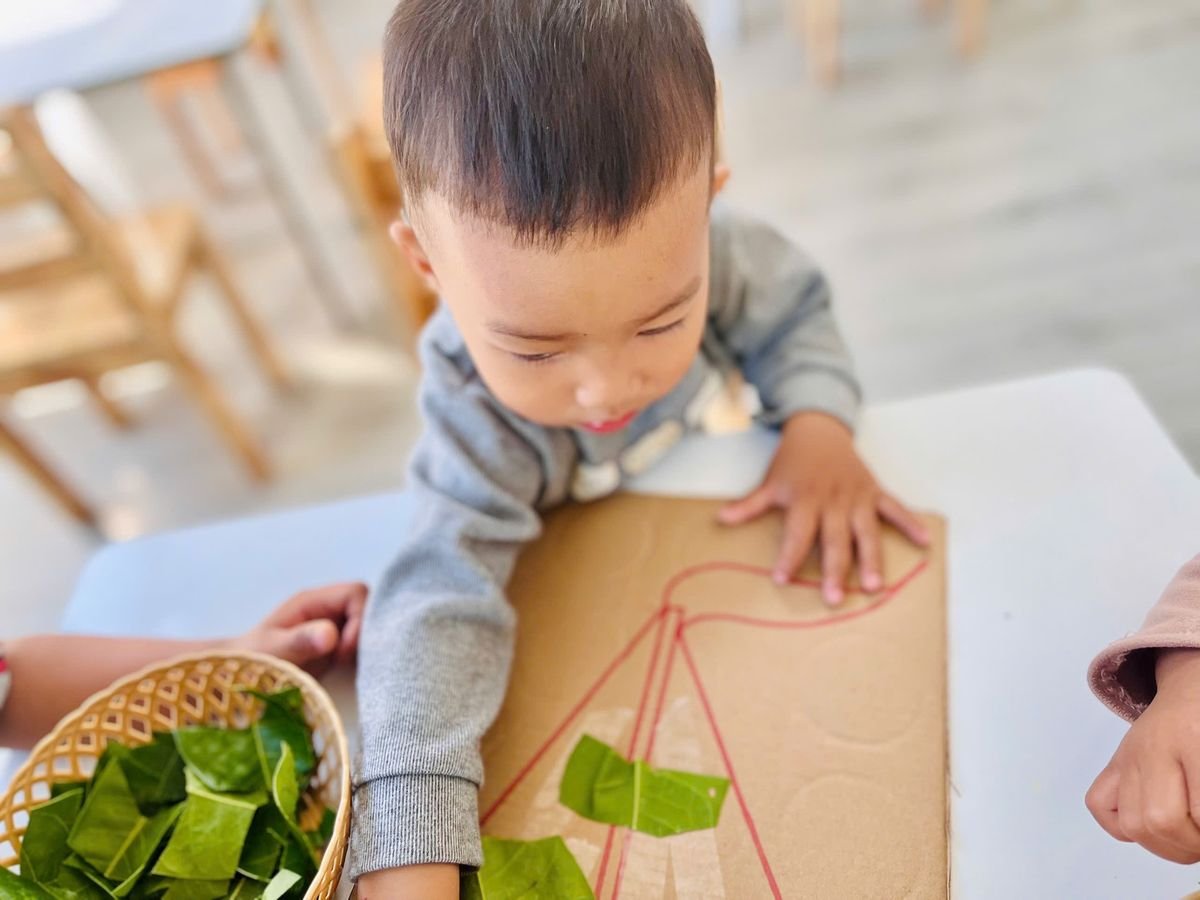 Ảnh hoạt động