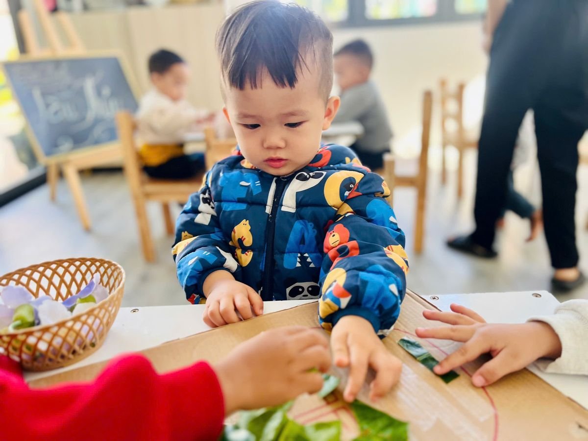 Ảnh hoạt động