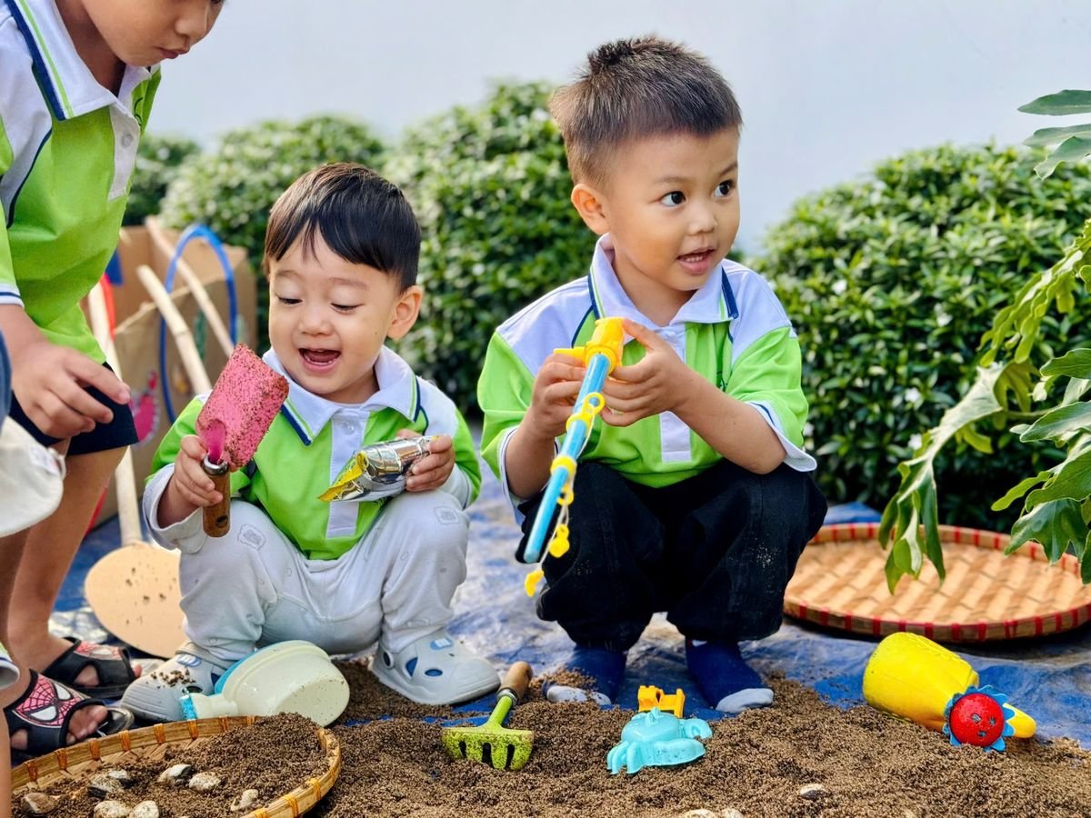 Ảnh hoạt động