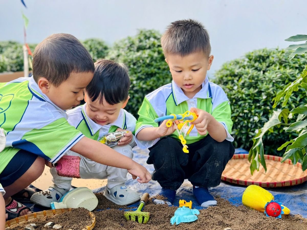 Ảnh hoạt động