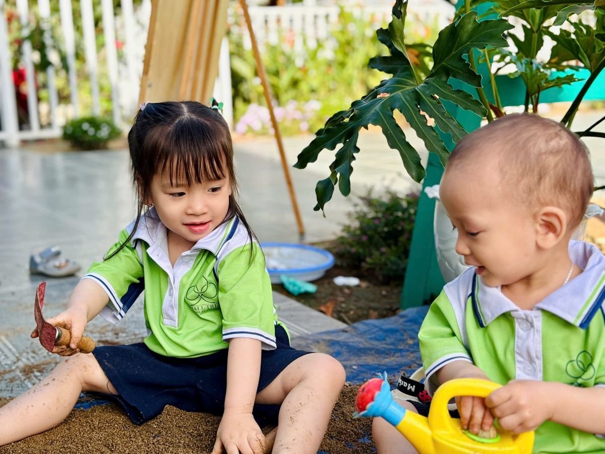 Ảnh hoạt động