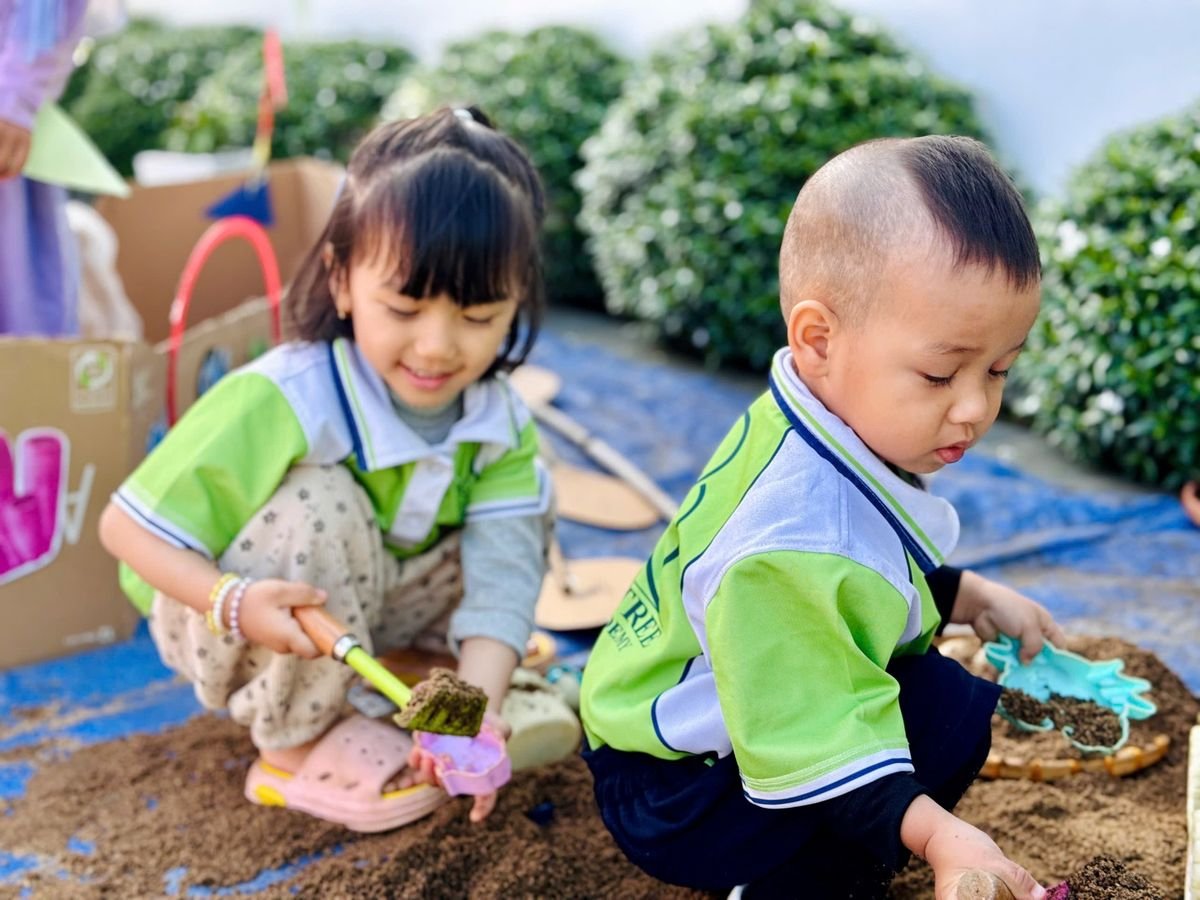 Ảnh hoạt động