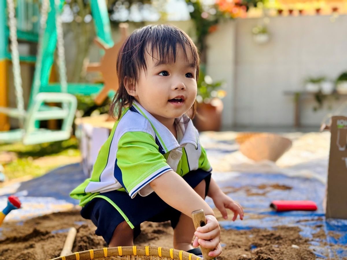 Ảnh hoạt động