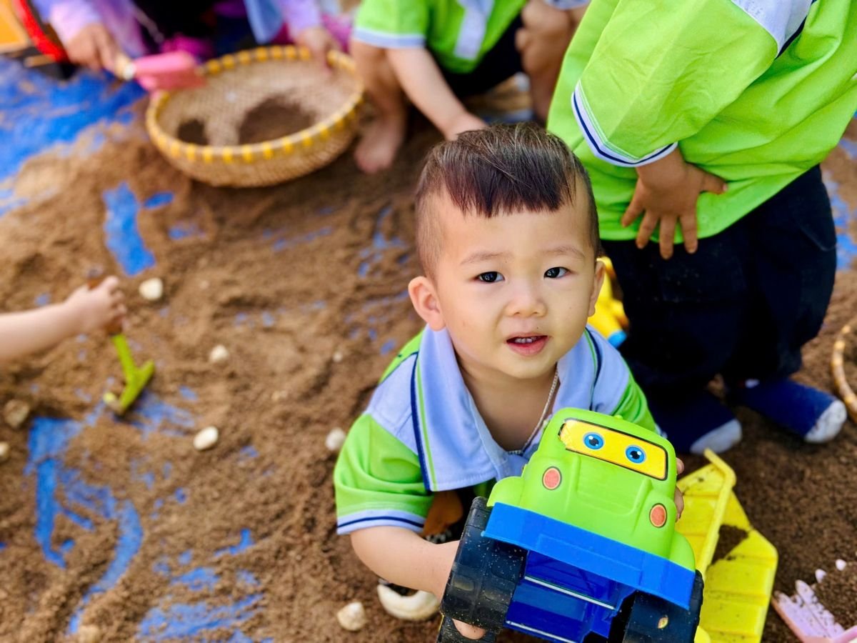 Ảnh hoạt động