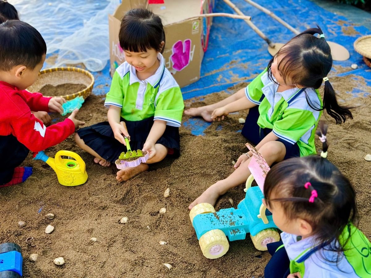 Ảnh hoạt động