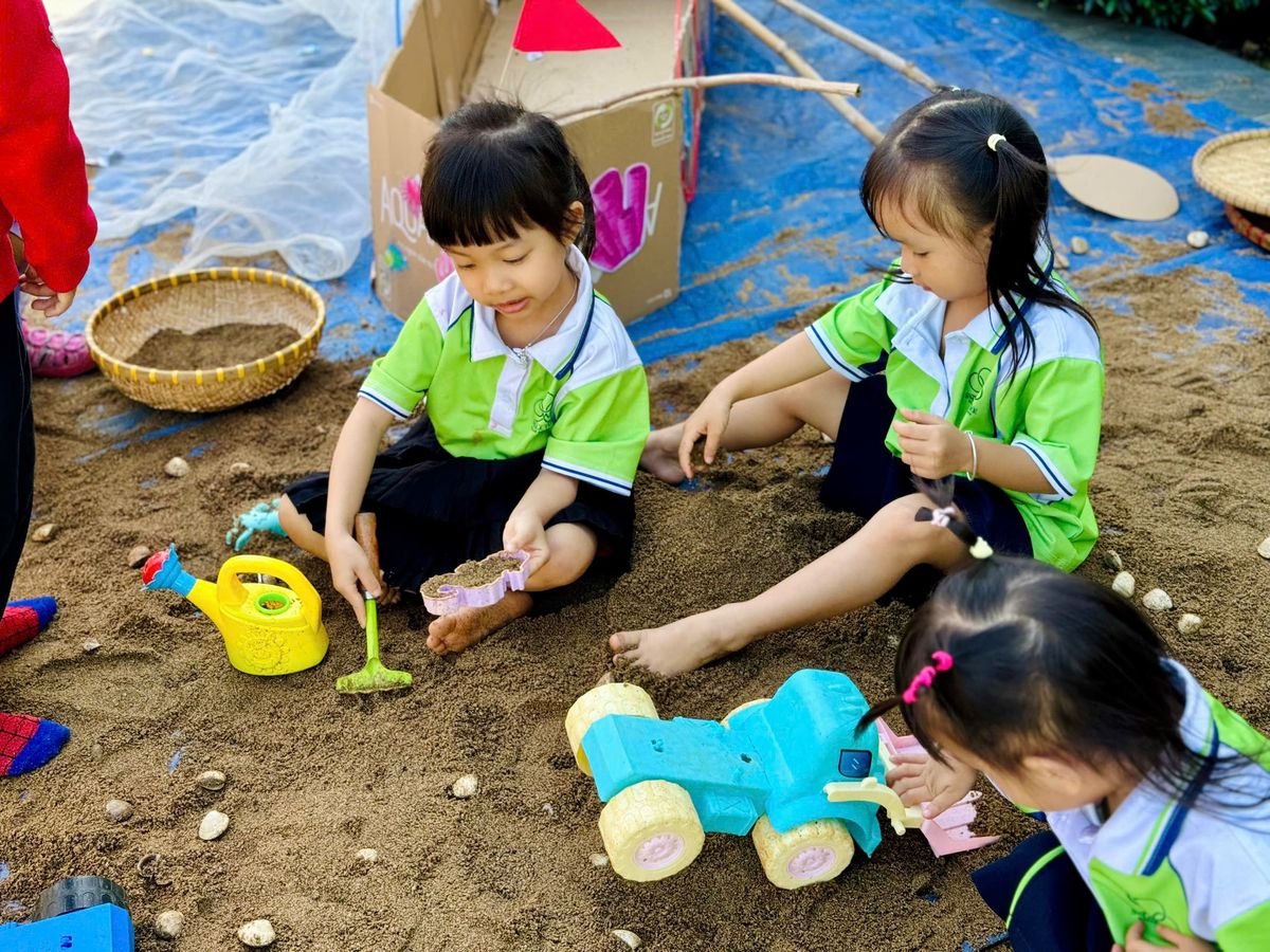 Ảnh hoạt động