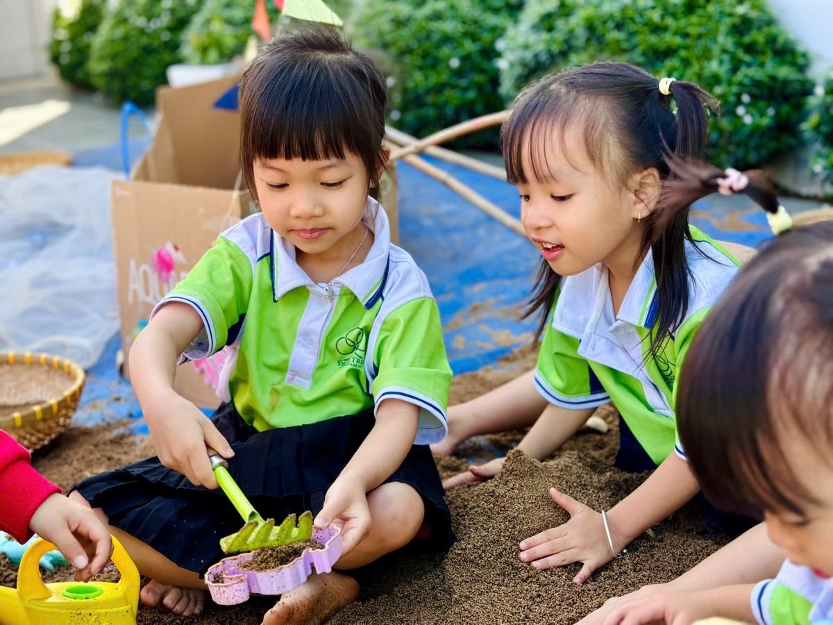 Ảnh hoạt động