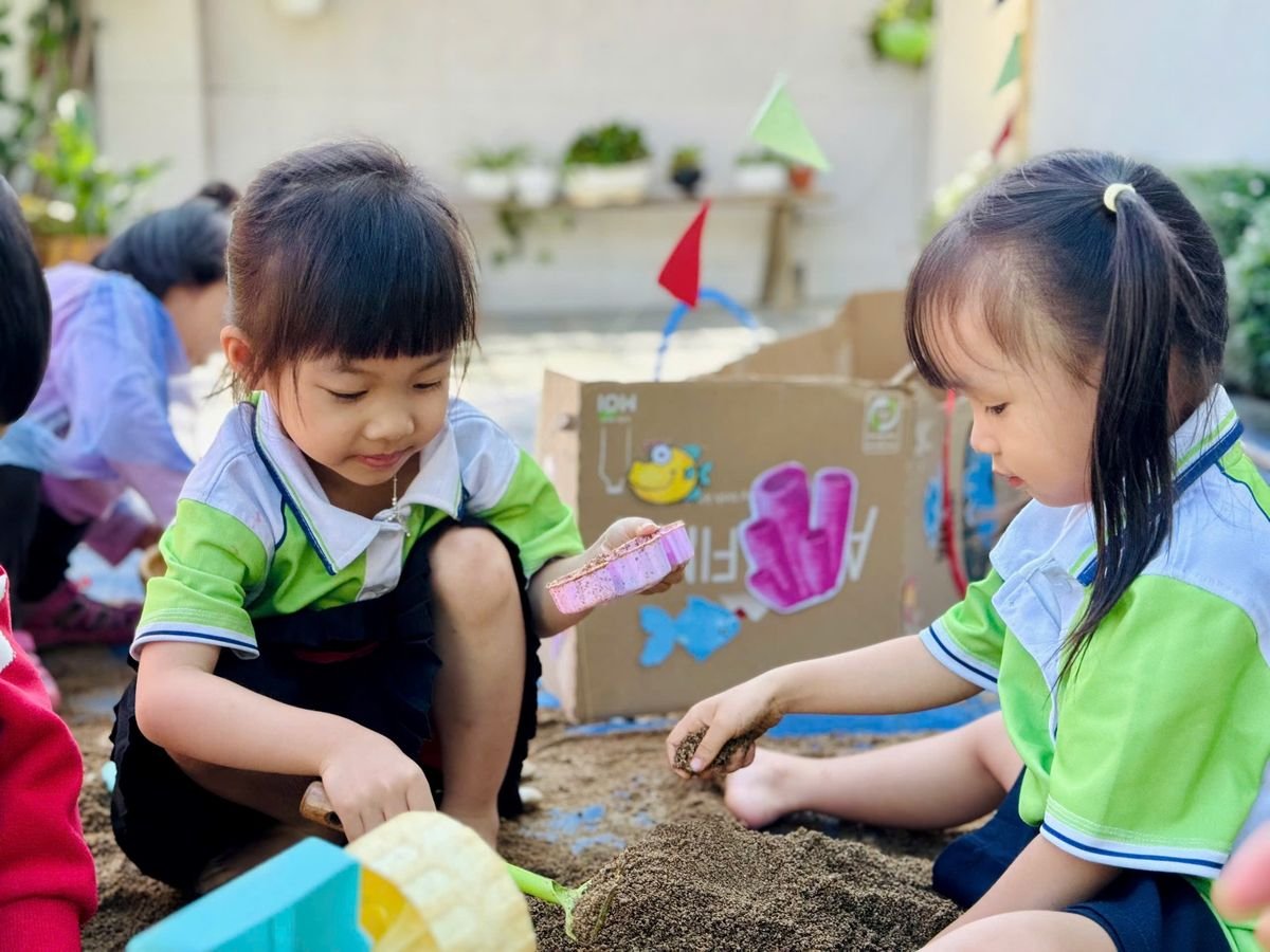 Ảnh hoạt động