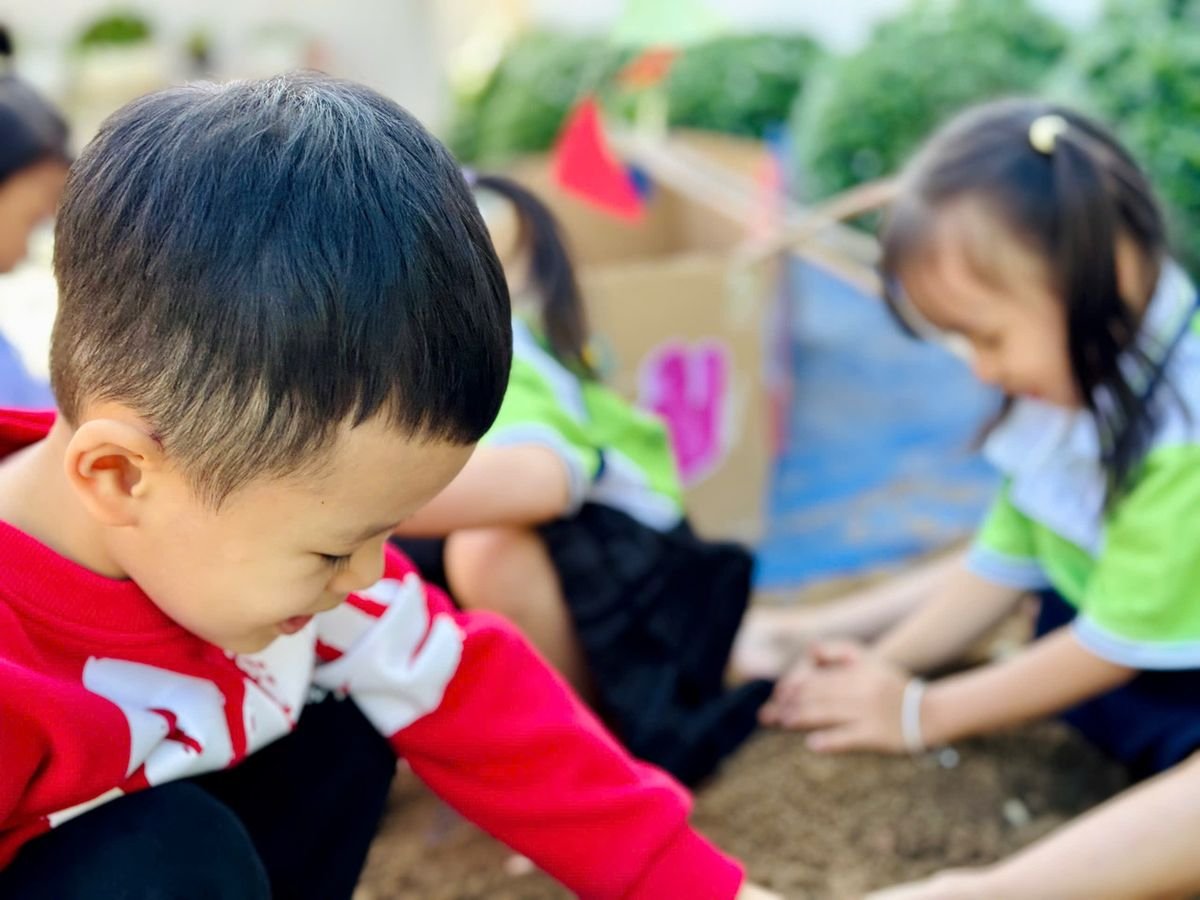 Ảnh hoạt động