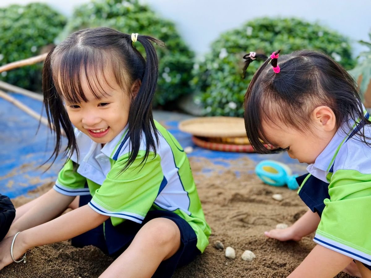 Ảnh hoạt động