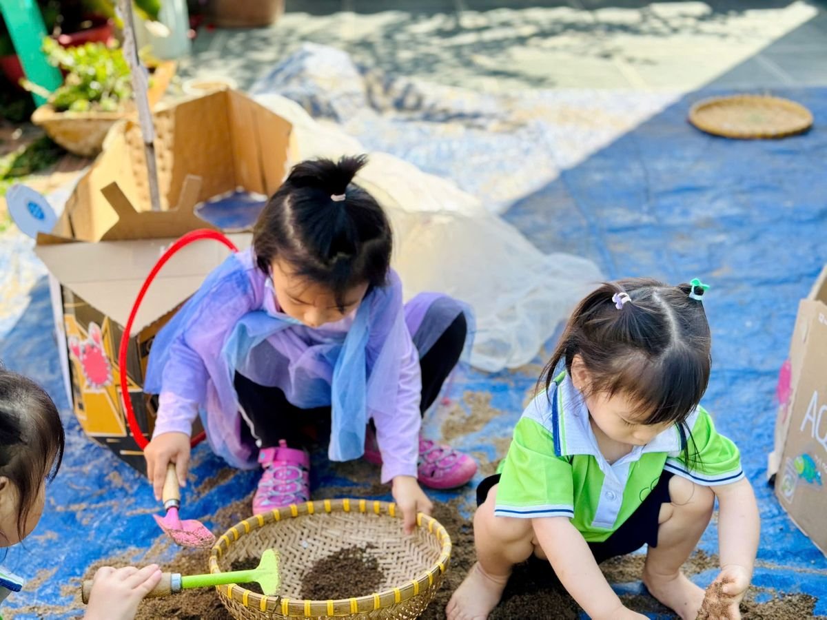 Ảnh hoạt động