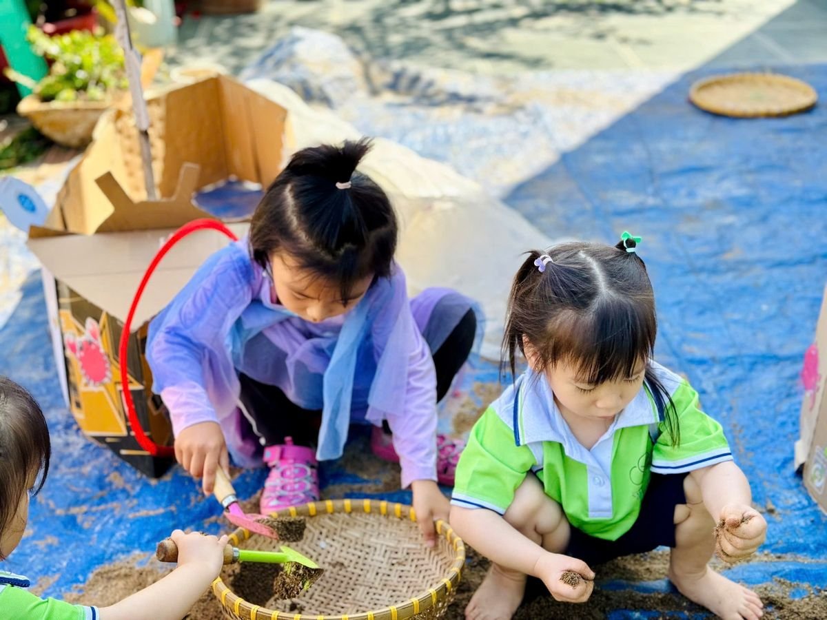 Ảnh hoạt động