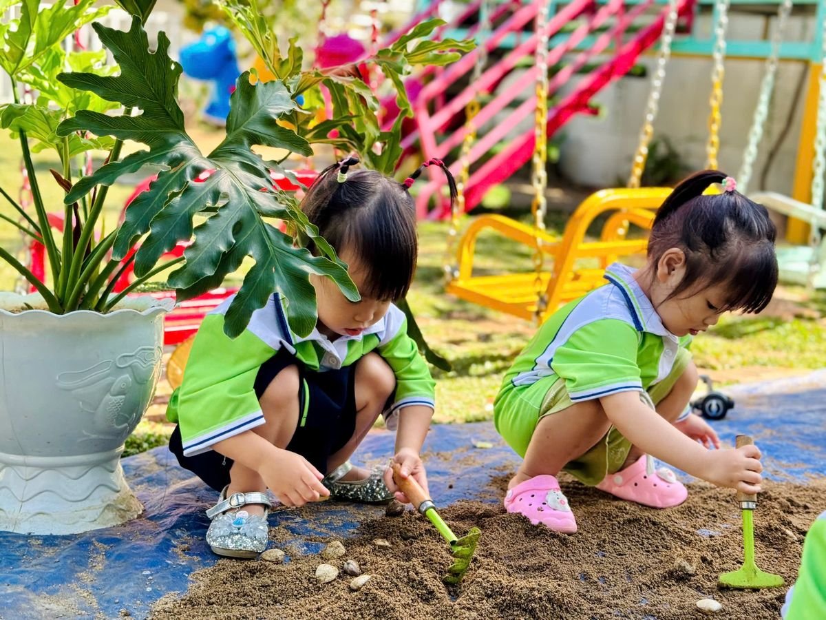 Ảnh hoạt động