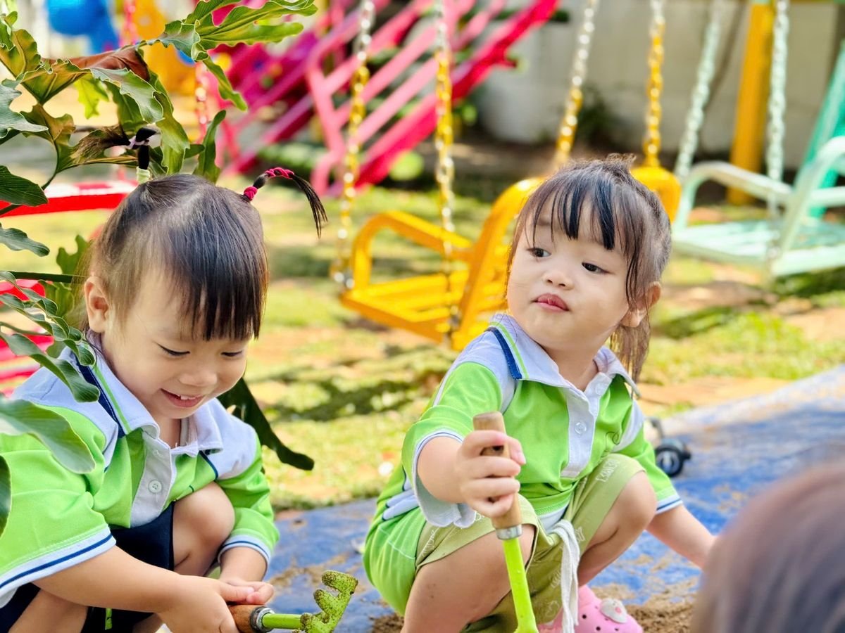 Ảnh hoạt động