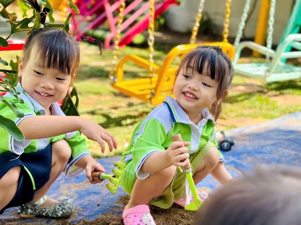 Ảnh hoạt động