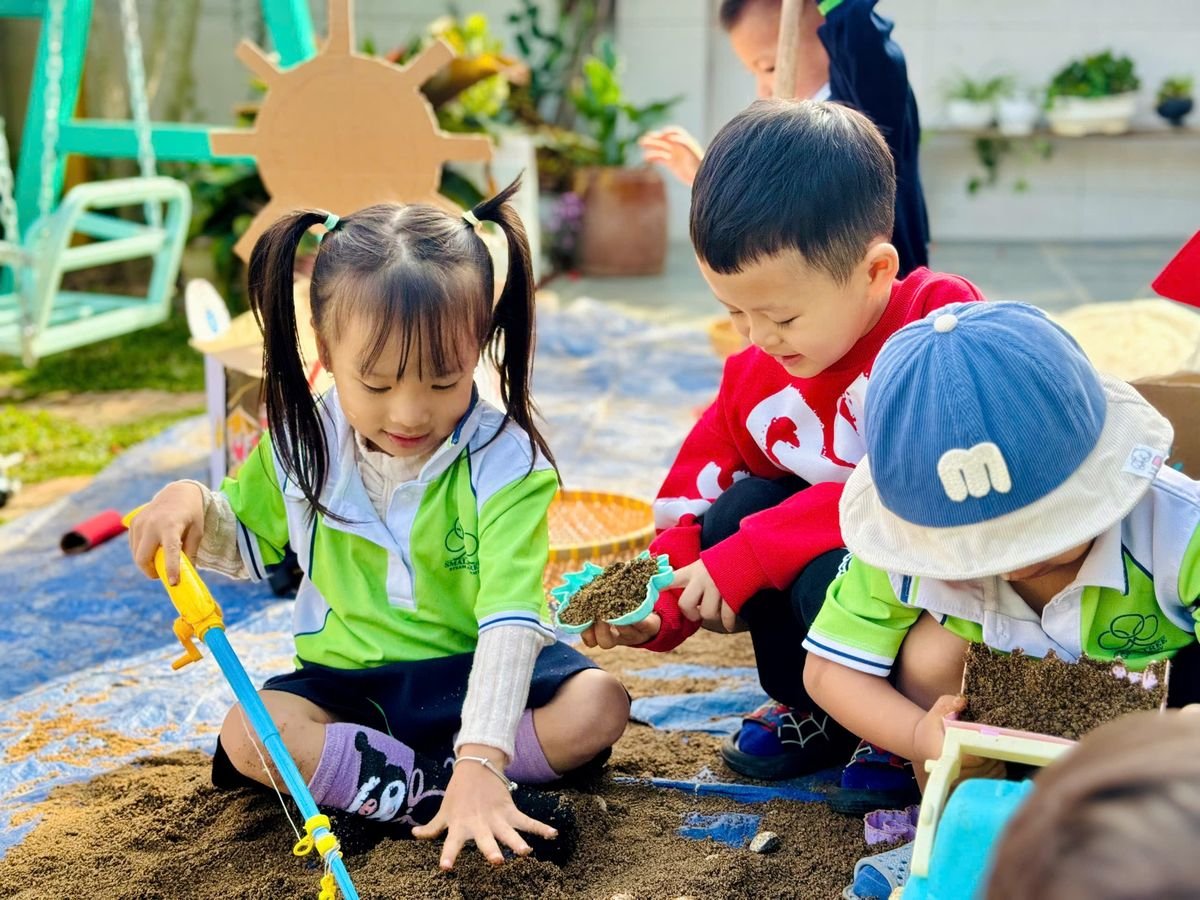 Ảnh hoạt động