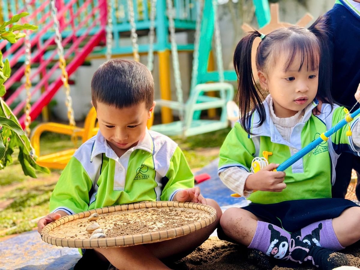 Ảnh hoạt động