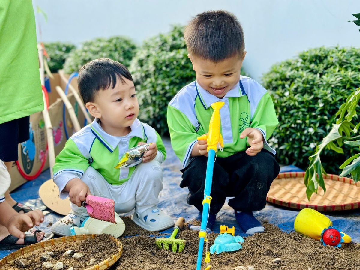 Ảnh hoạt động