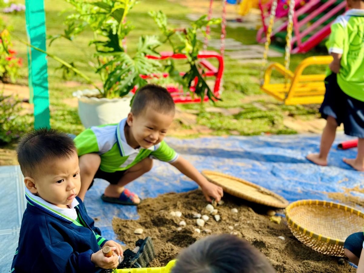 Ảnh hoạt động