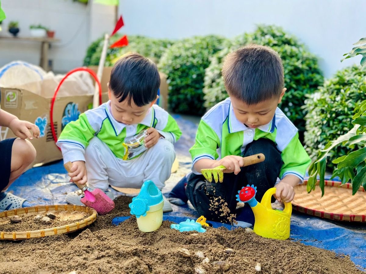 Ảnh hoạt động