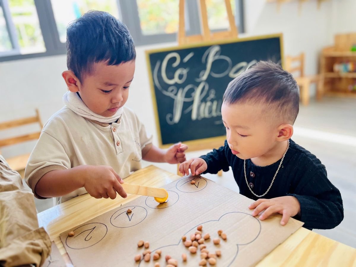 Ảnh hoạt động