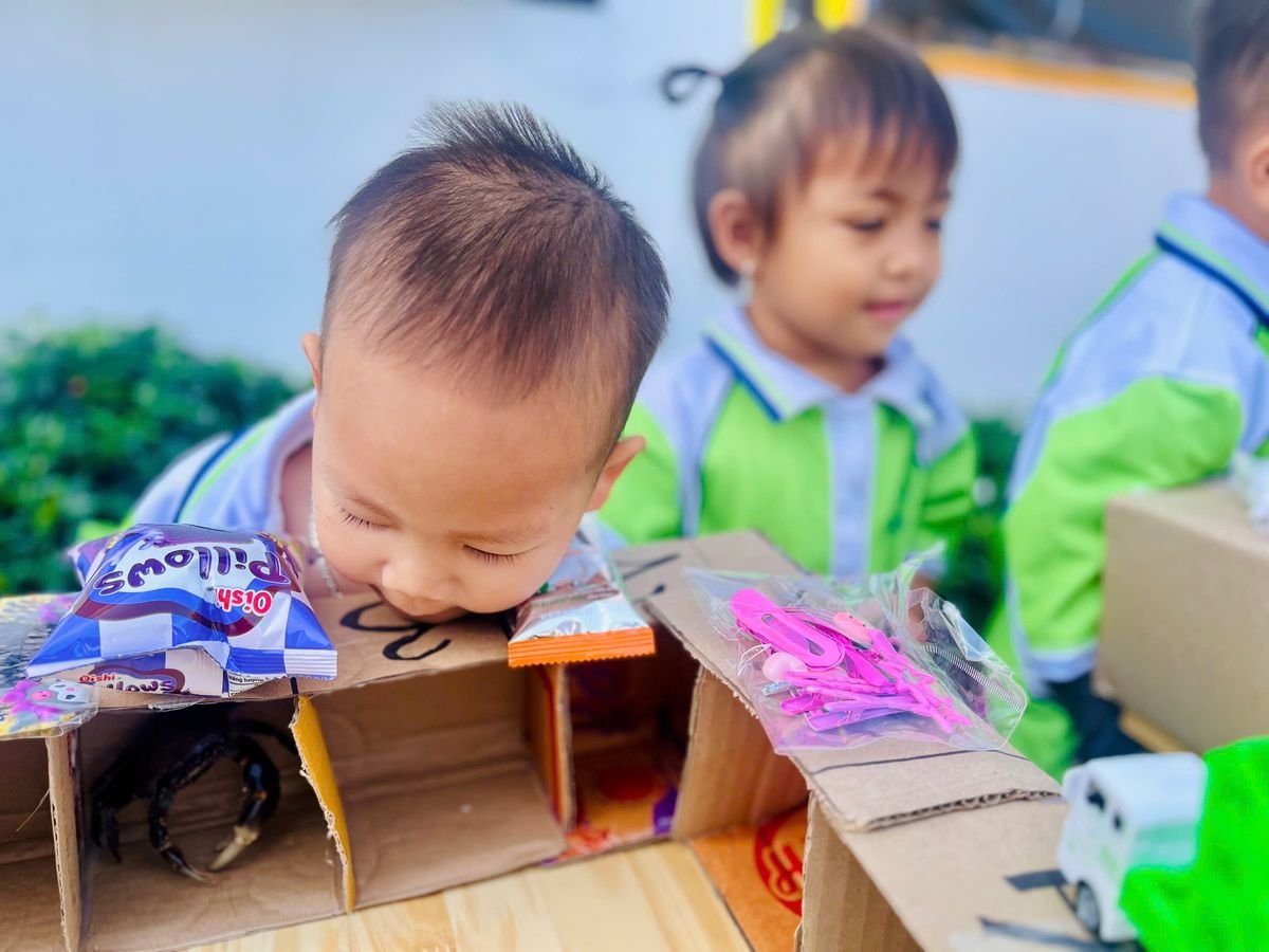 Ảnh hoạt động