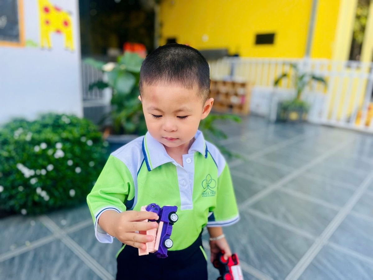 Ảnh hoạt động