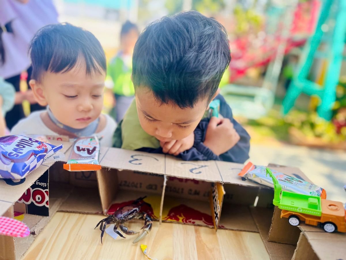 Ảnh hoạt động