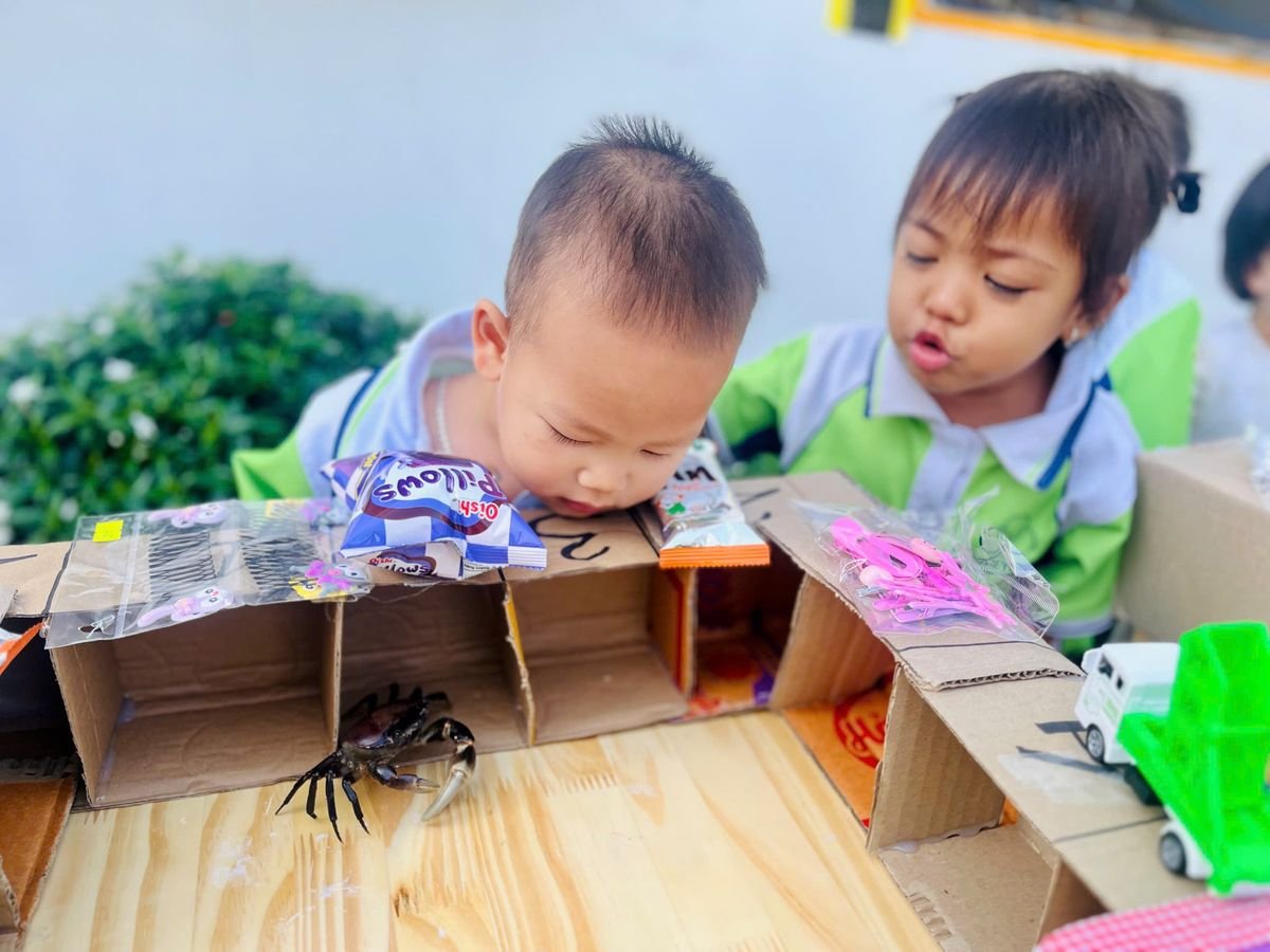 Ảnh hoạt động