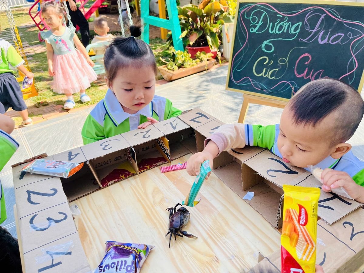 Ảnh hoạt động