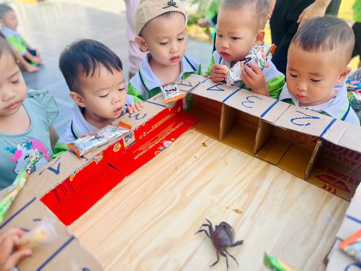 Ảnh hoạt động