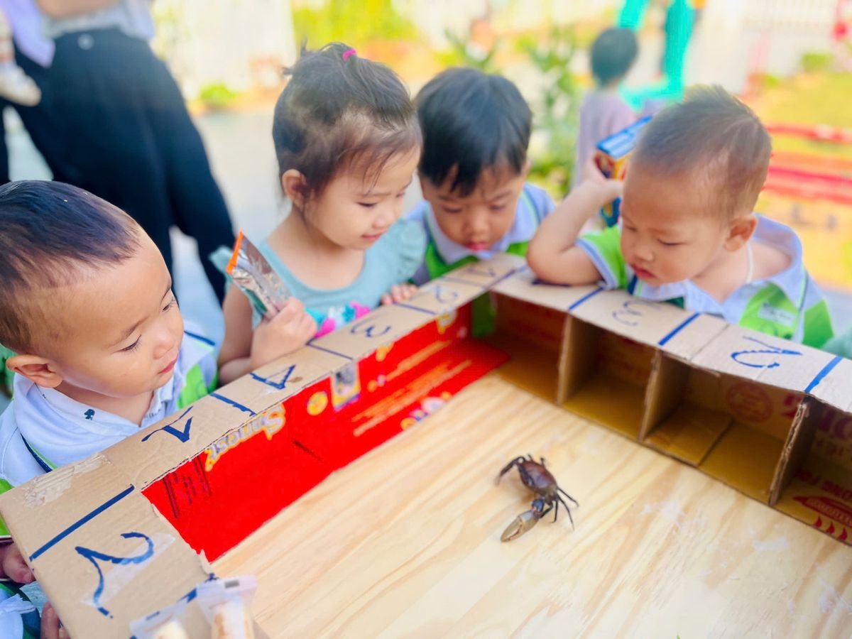 Ảnh hoạt động