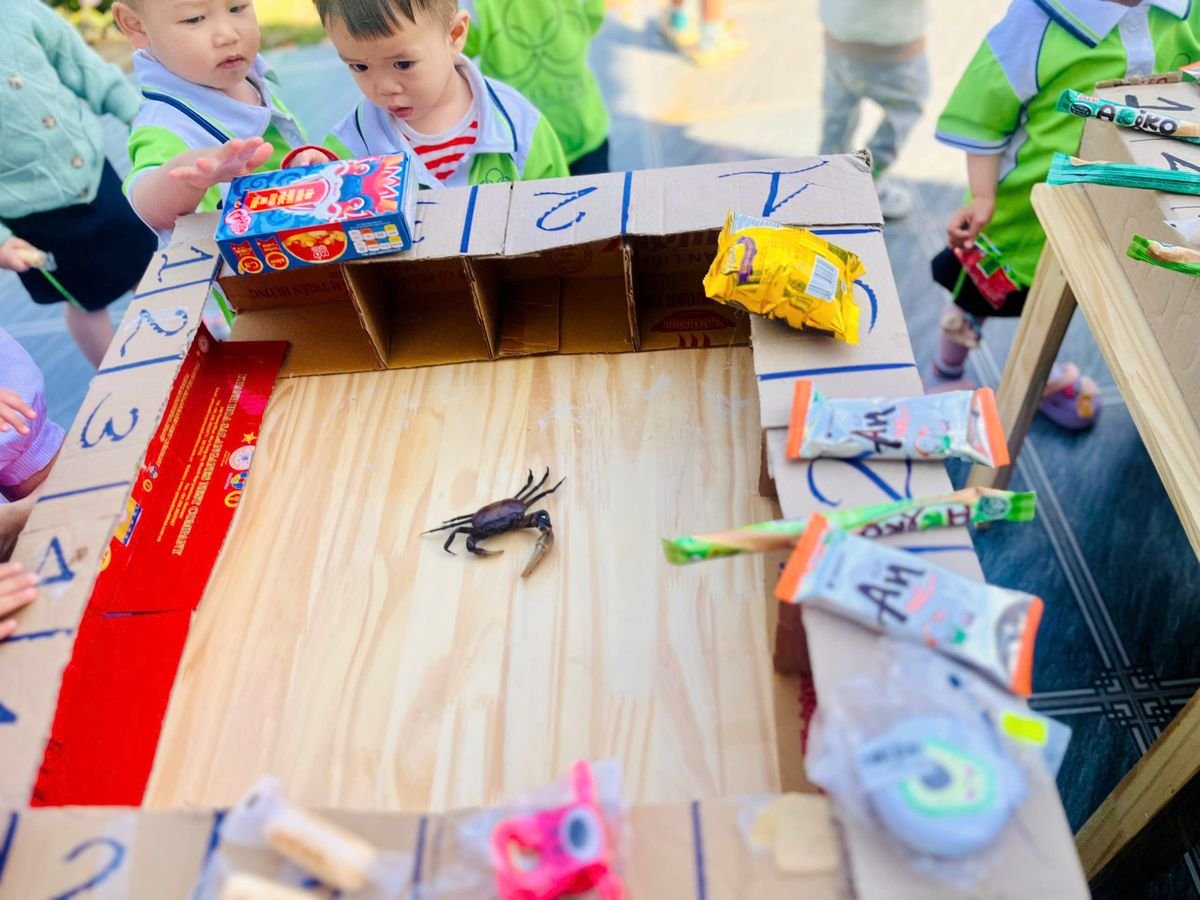 Ảnh hoạt động