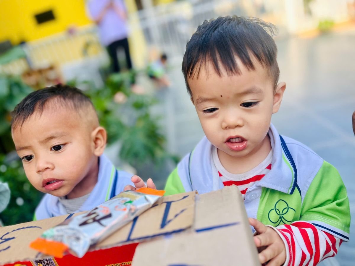 Ảnh hoạt động