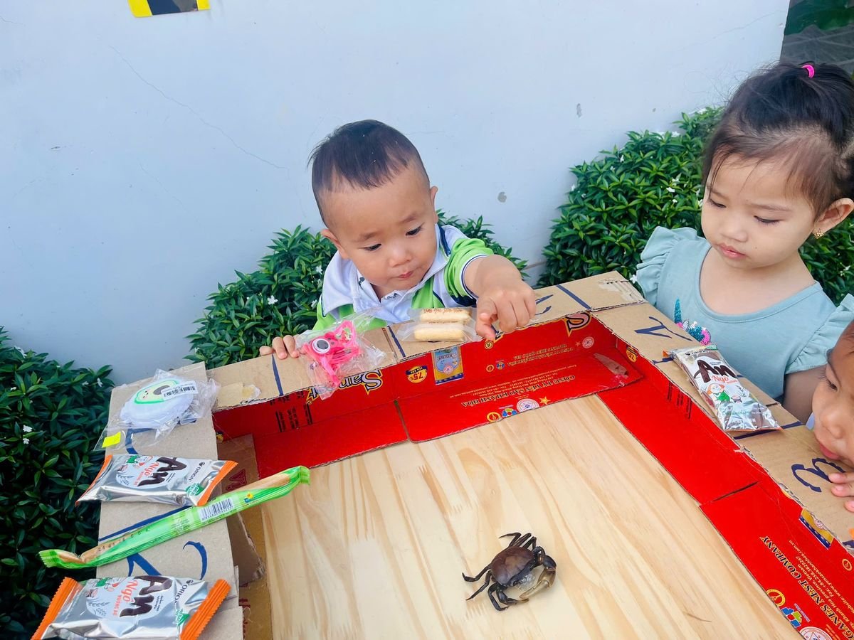 Ảnh hoạt động