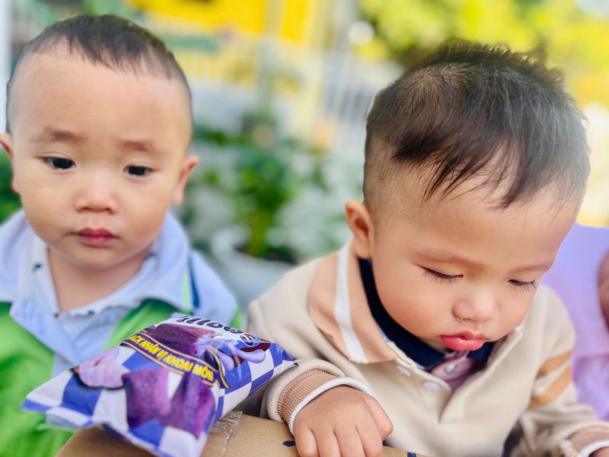 Ảnh hoạt động