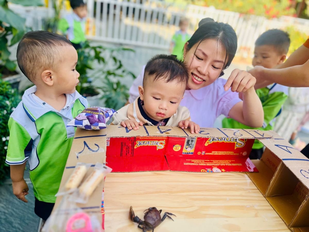 Ảnh hoạt động